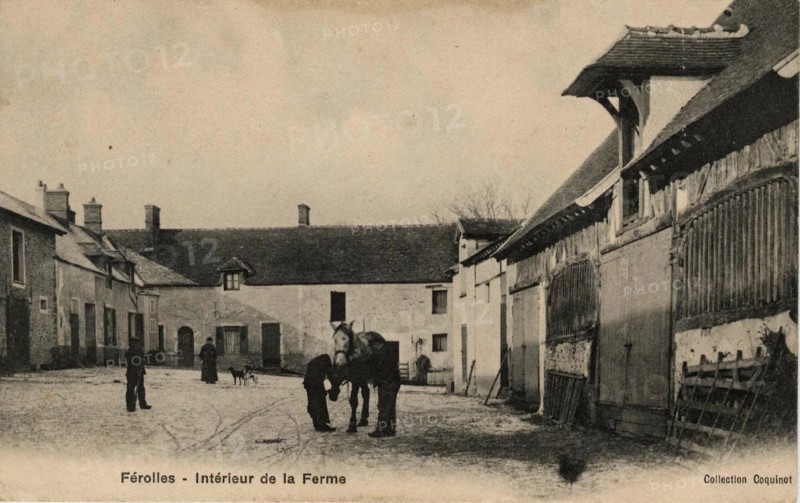 FEROLLES-ATTILLY