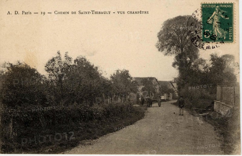 SAINT-THIBAULT-DES-VIGNES