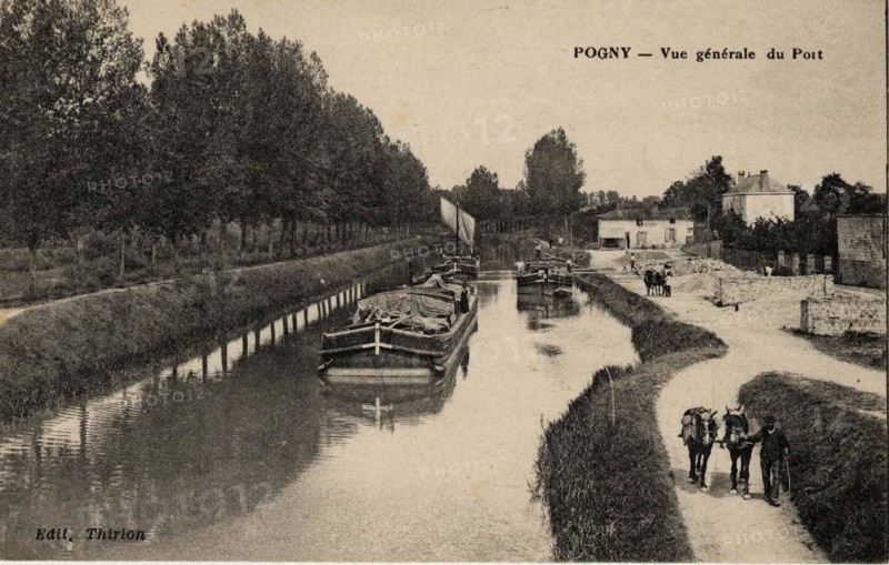 POGNY