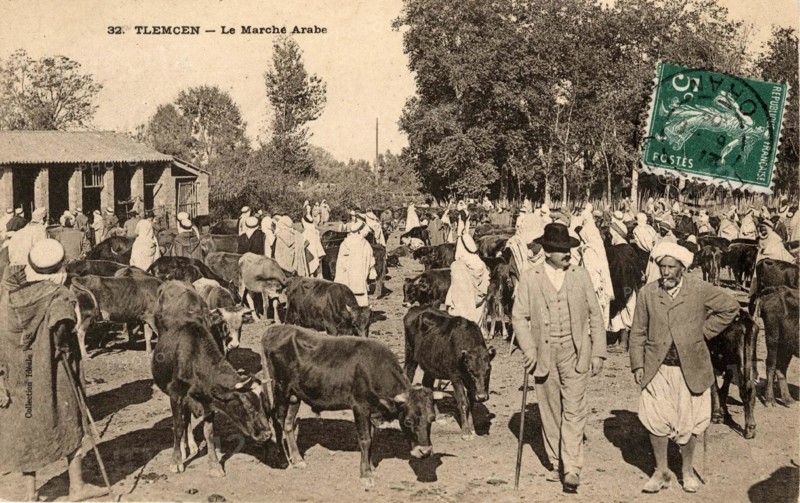 TLEMCEN
