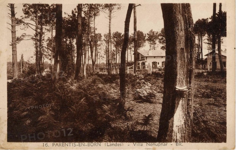 PARENTIS-EN-BORN