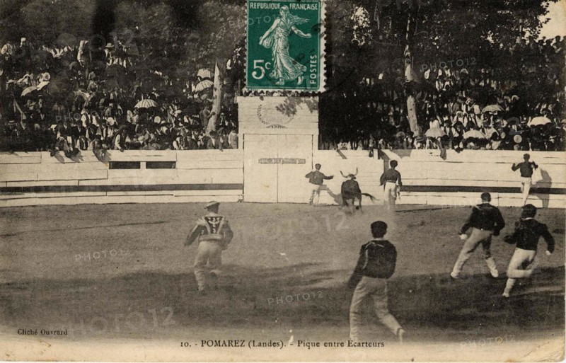 POMAREZ