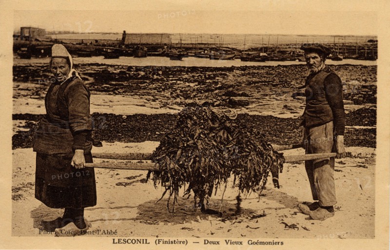 LESCONIL