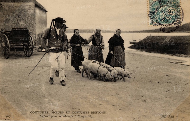PLOUGASTEL-DAOULAS