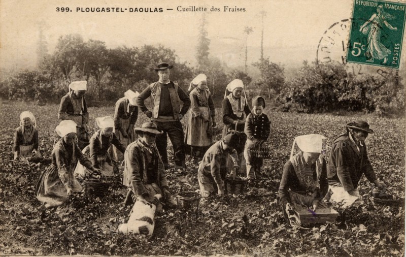 PLOUGASTEL-DAOULAS
