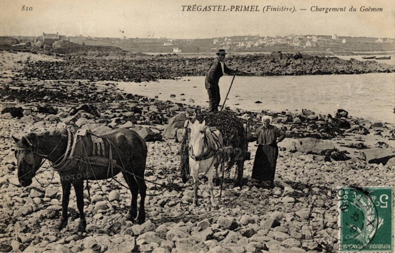 PRIMEL-TREGASTEL