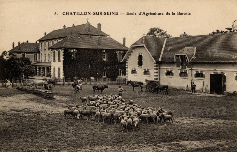 CHATILLON-SUR-SEINE