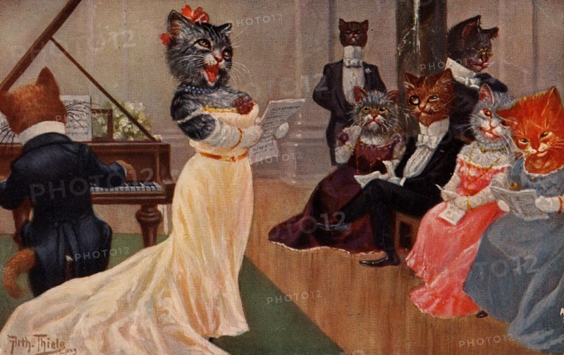 ANIMAUX-CHATS