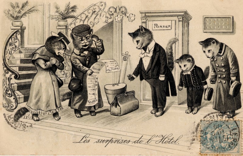 ANIMAUX-CHATS