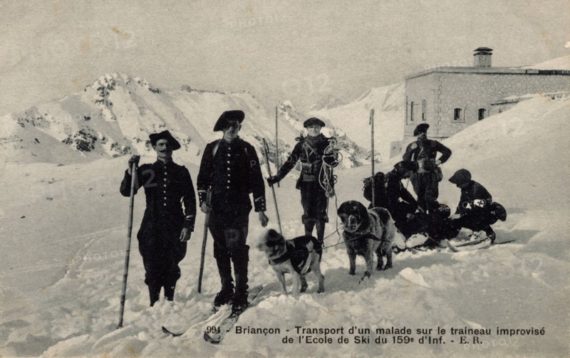 ANIMAUX-CHIENS