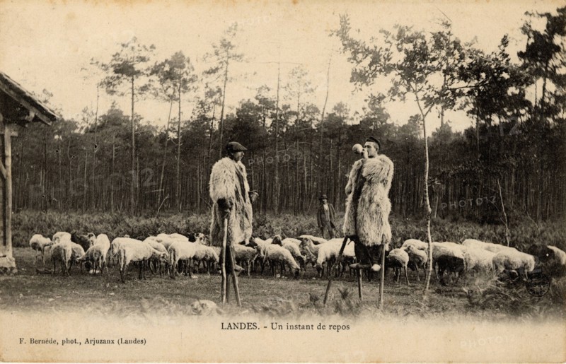 Landes