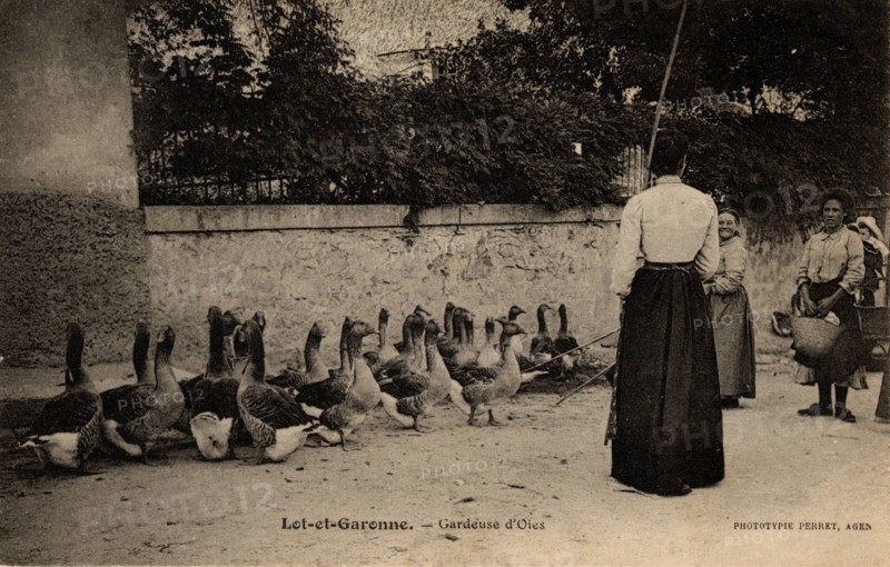 Lot-et-Garonne