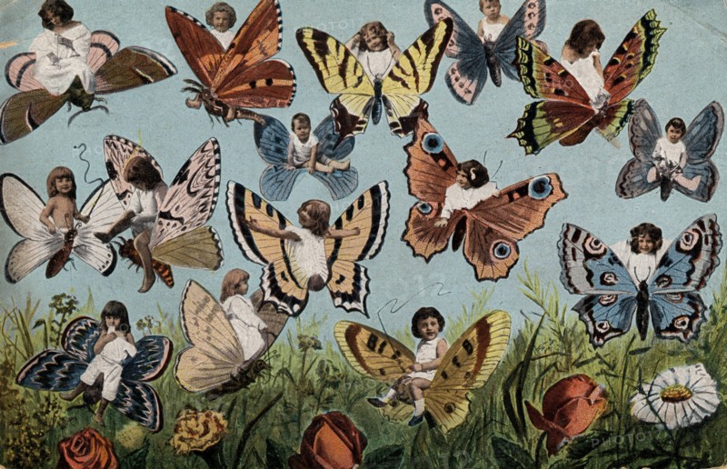 ANIMAUX-PAPILLONS