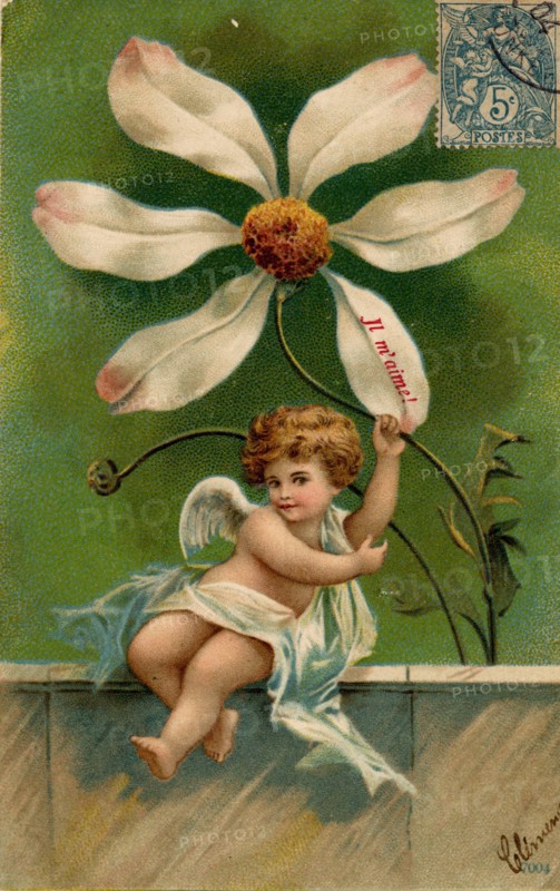 ANGES