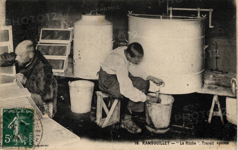 APICULTURE