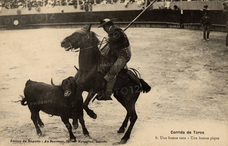 BULL FIGHTING