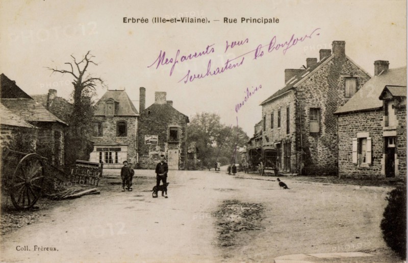 ERBREE