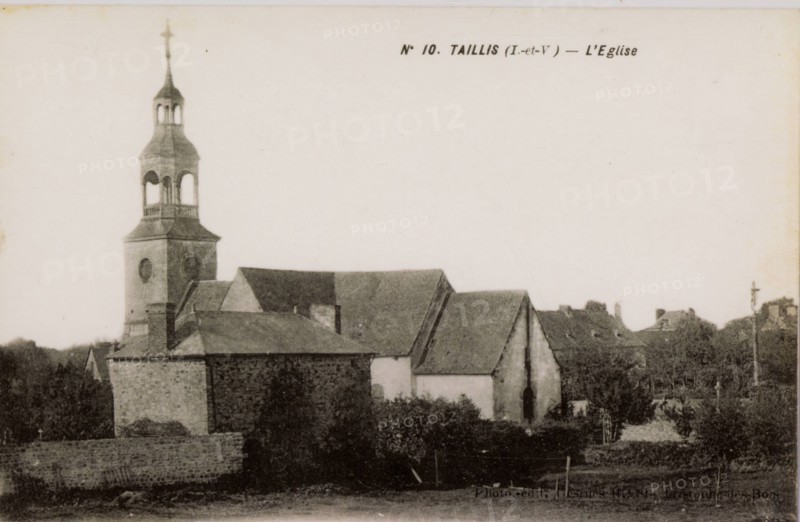 TAILLIS