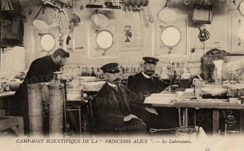 POLAR EXPEDITION