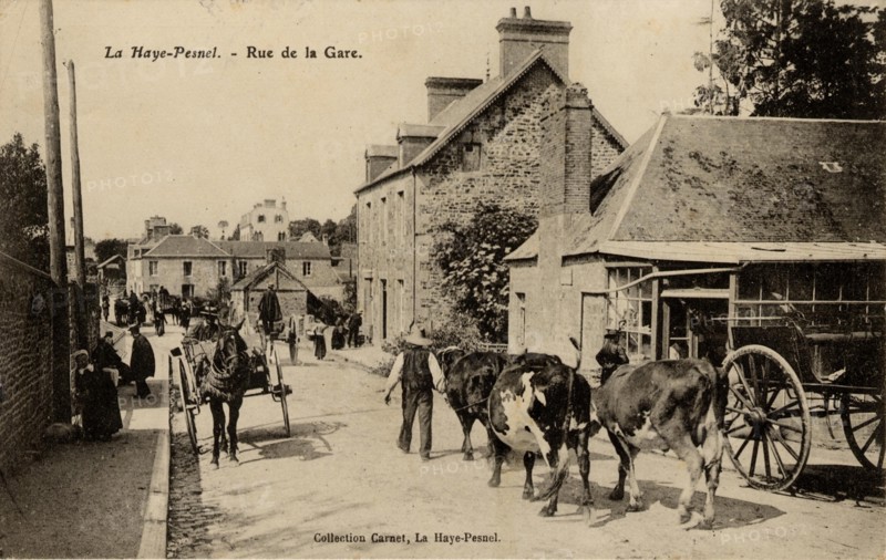 LA HAYE-PESNEL