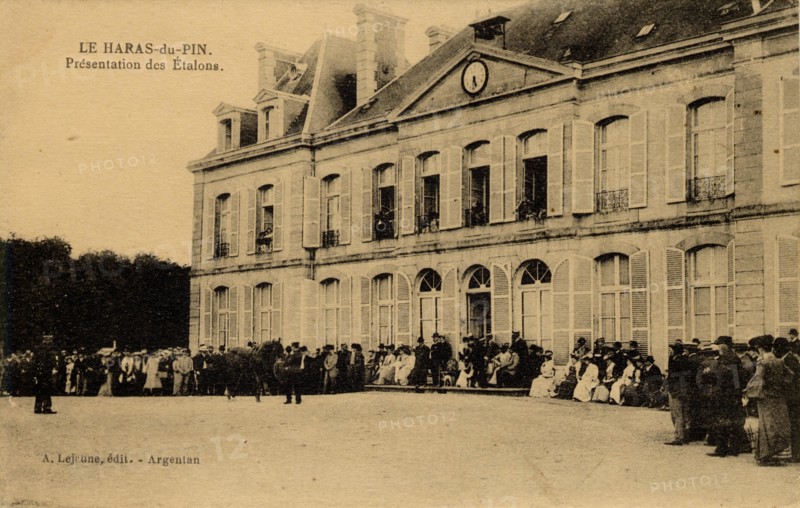 HARAS-DU-PIN