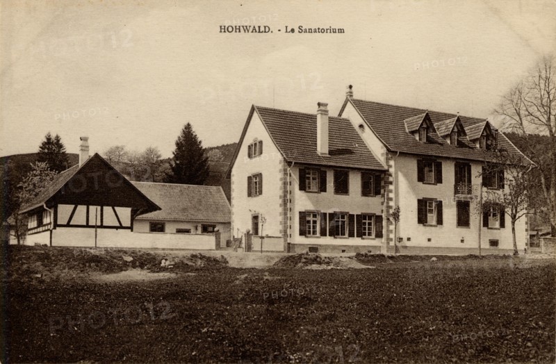 HOHWALD