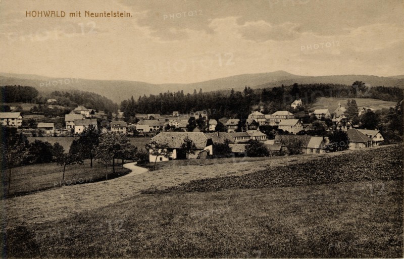 HOHWALD