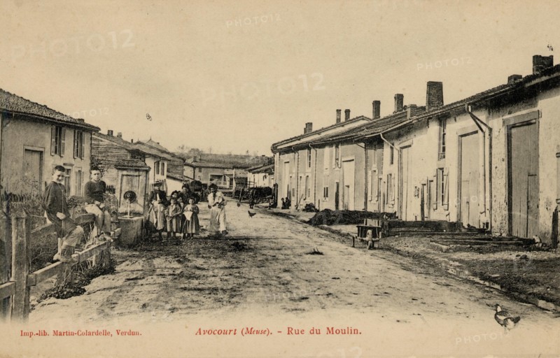 AVOCOURT