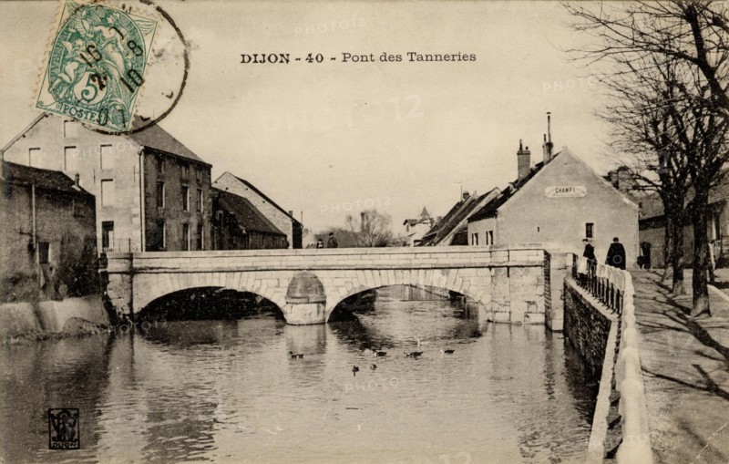 DIJON
