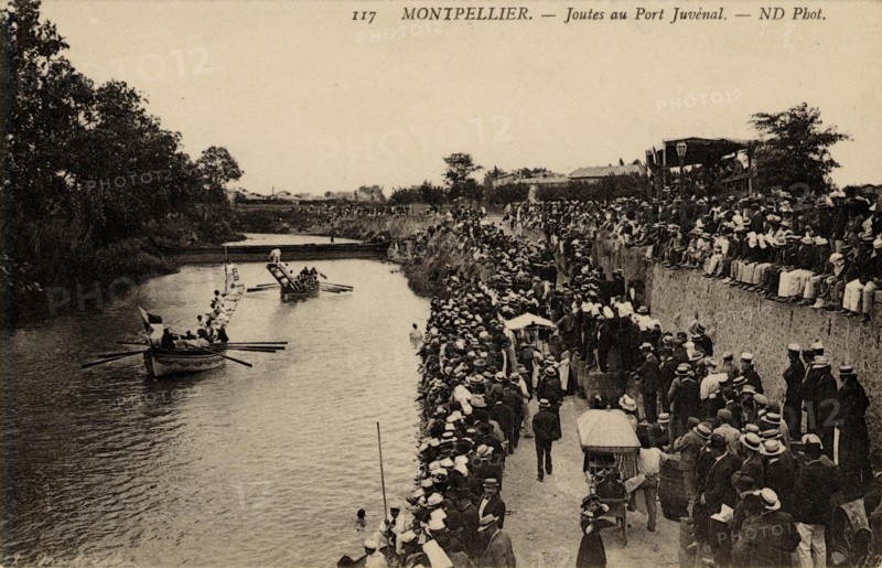 MONTPELLIER