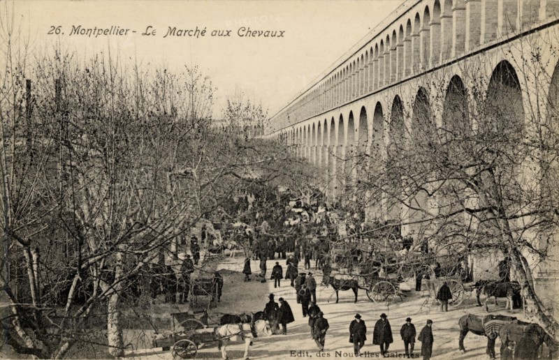 MONTPELLIER