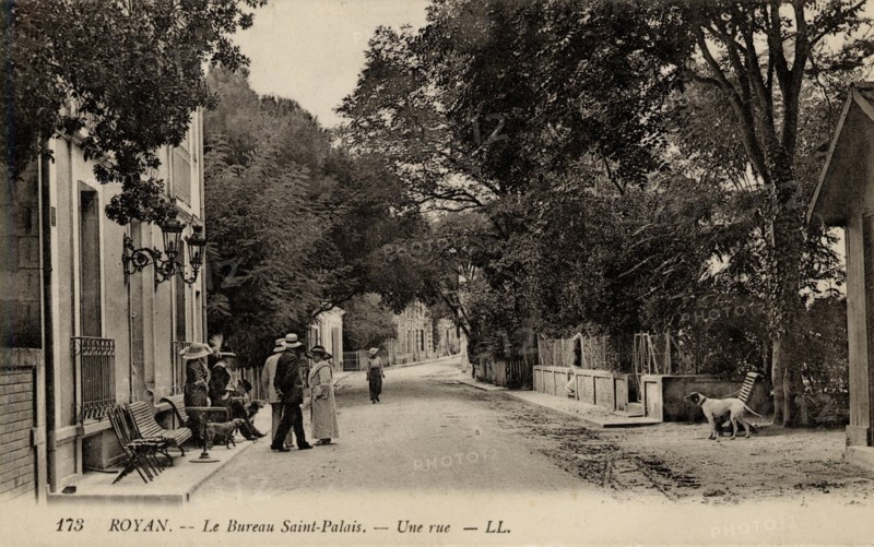 ROYAN