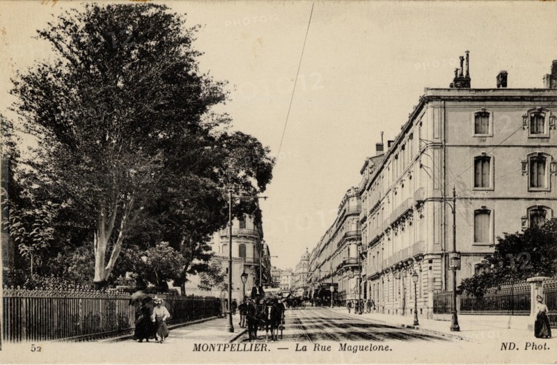 MONTPELLIER