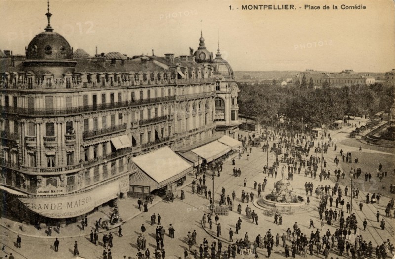 MONTPELLIER