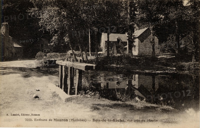 BOIS-DE-LA-ROCHE