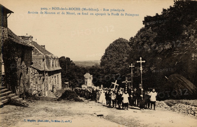 BOIS-DE-LA-ROCHE