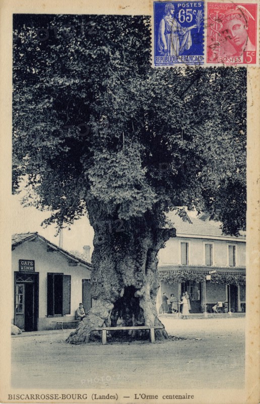 BISCARROSSE