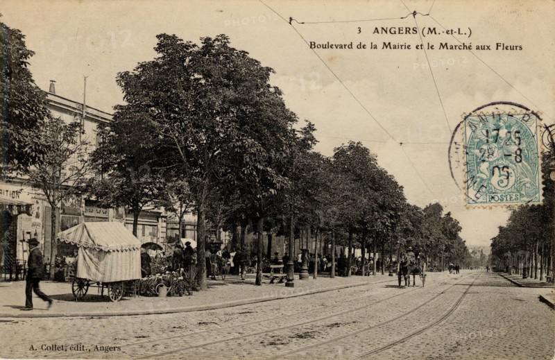 ANGERS
