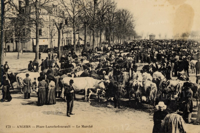 ANGERS