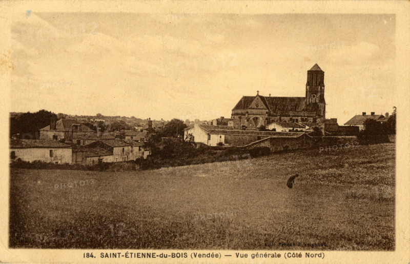 SAINT-ETIENNE-DU-BOIS