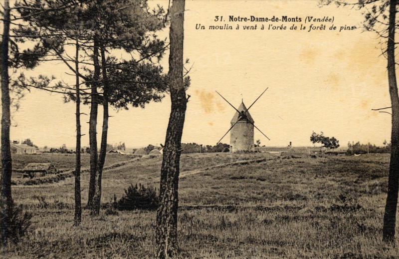 NOTRE-DAME-DE-MONTS
