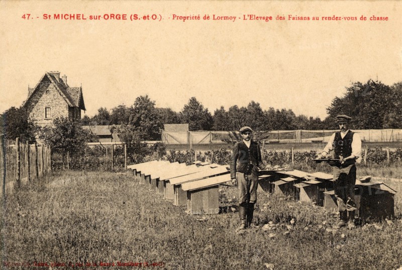 SAINT-MICHEL-SUR-ORGE. Département : Essonne (91). Région : Ile de France