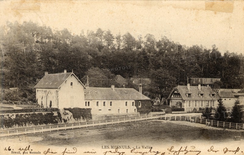 MESNULS