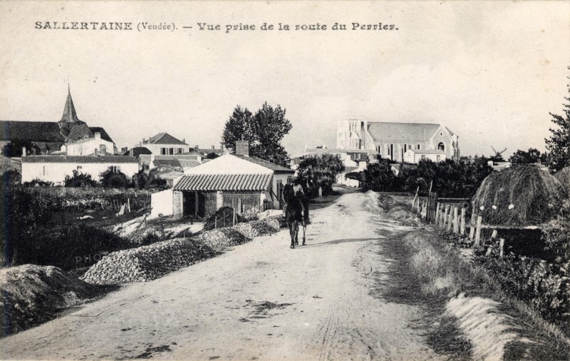 SALLERTAINE