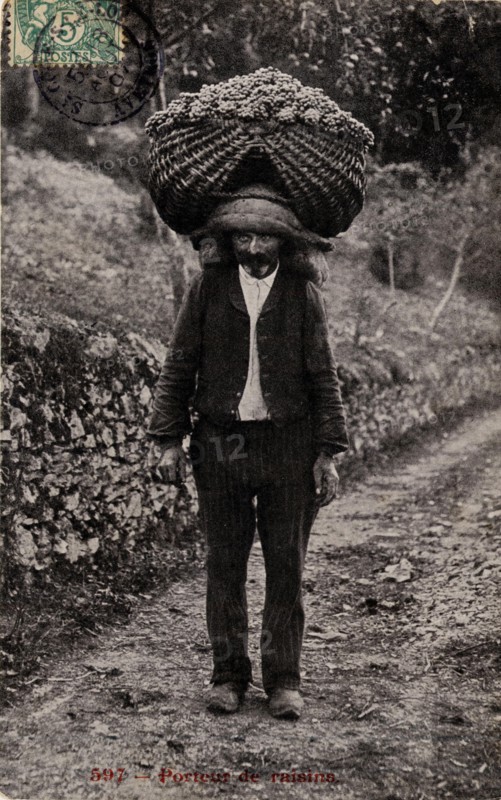 Grape carrier