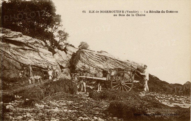 Bois-de-la-Chaize