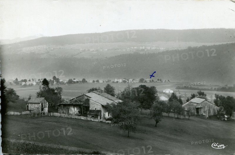 Echallon