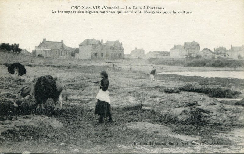Saint-Gilles-Croix-de-Vie, la Pelle à Porteaux
