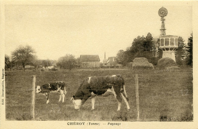 Cheroy