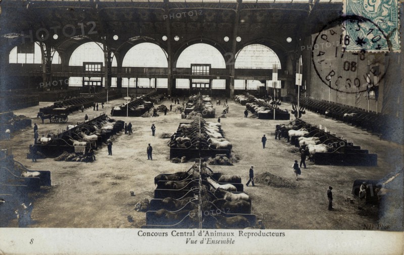 EXPOSITIONS